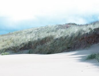 Natuur krijgt vrij spel op het strand, geen extra permanente strandpaviljoens