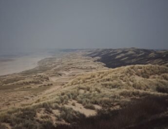 Gemeente Den Haag wil meer ruimte voor de natuur rondom haar stranden