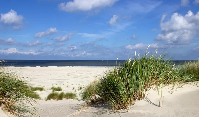 Hoe houden we ons strand toegankelijk?