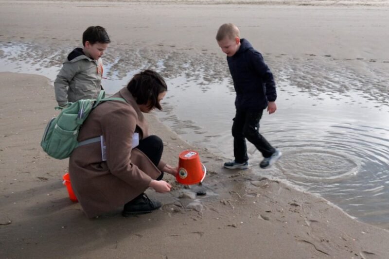 Video: Schelpenteldag langs de kust