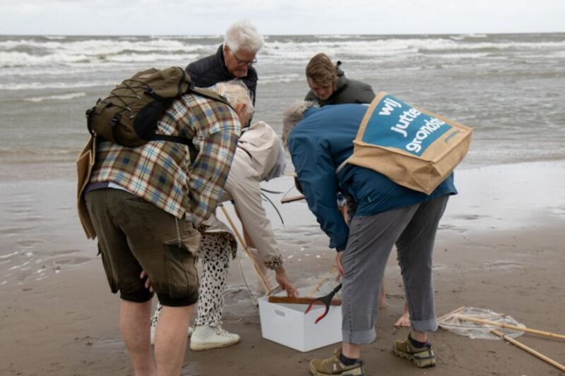 Ontdek de Noordwijkse kust tijdens de Dag van het Strand.