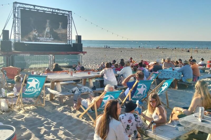 Met een dekentje op het strand naar The Lion King: strandbioscoop in Renesse valt in de smaak