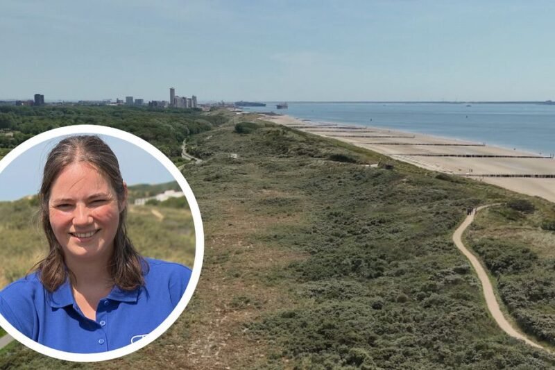 Duinen bij Dishoek te zwak: extra zand aan de landkant